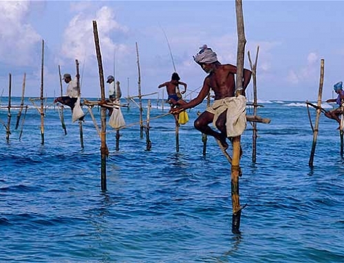 Galle