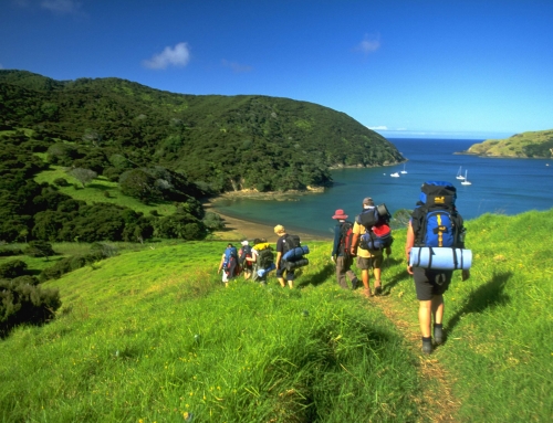Hiking and Traking